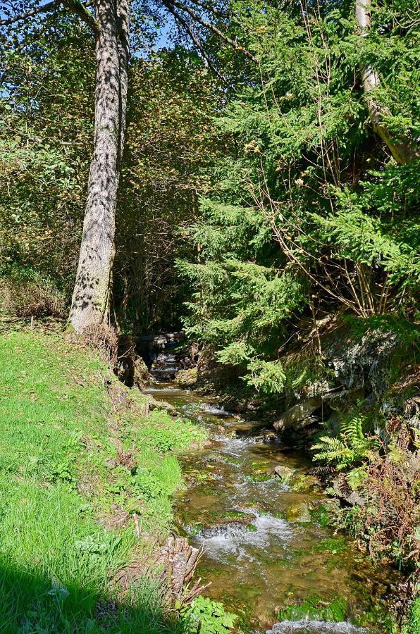 Rezidence Greenhill ⃰ ⃰ ⃰ Kraslice Dış mekan fotoğraf